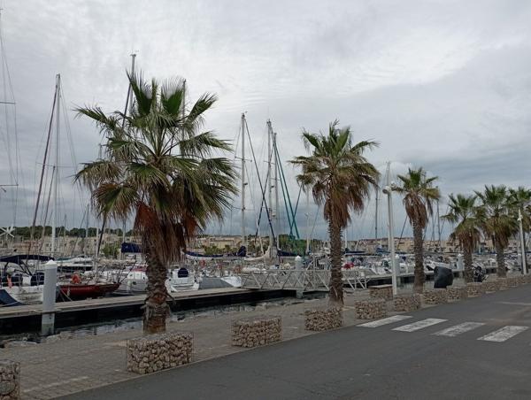 GRUISSAN - LE MEDITERRANEE - Studio meublé avec balcon à louer de Septembre à Juin - avec place de parking