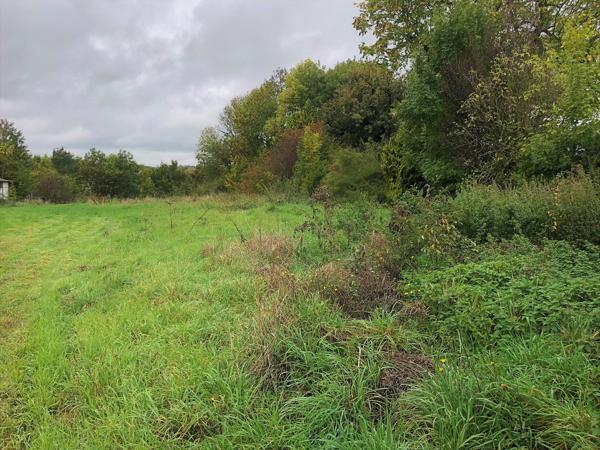 Terrain
        
        - 2231 m² Exclusivité 100 000 €*