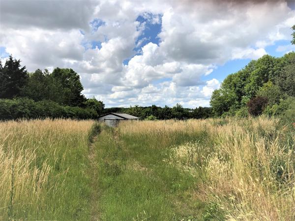 Terrain
        
        - 2231 m² Exclusivité 100 000 €*
