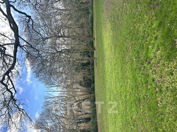 Maison en bois en bord de mer