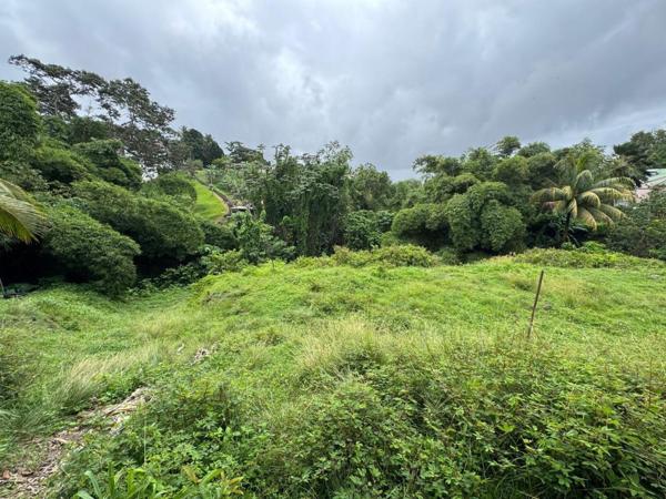 Terrain nu , vue campagne