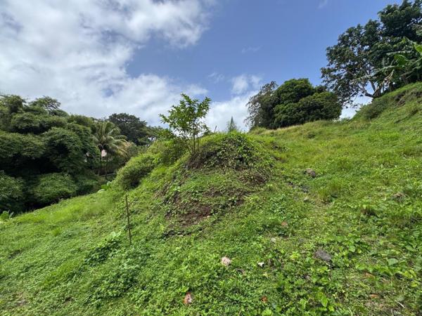 Terrain nu , vue campagne