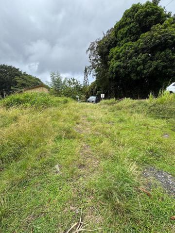 Terrain nu , vue campagne