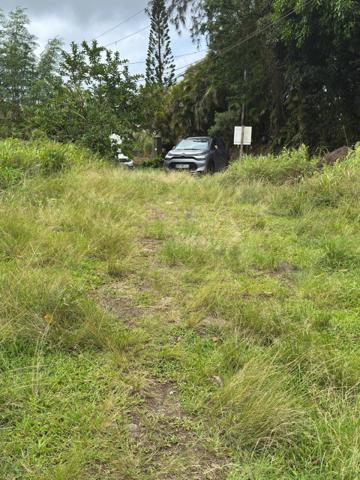 Terrain nu , vue campagne