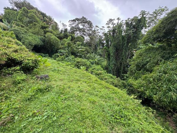Terrain nu , vue campagne