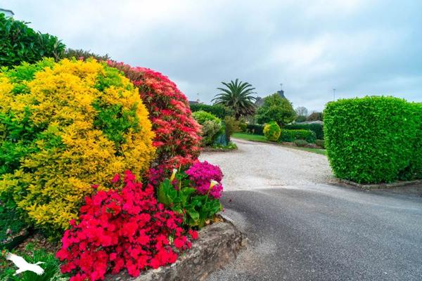 Maison à vendre |                                       La Forêt-Fouesnant |                                        6 pièces  |  137 m²
