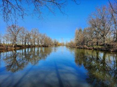 Terrain de loisirs - Bois - Etang à vendre à Touchay dans le Cher (18160), ref : 1076750DA