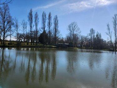 Terrain de loisirs - Bois - Etang à vendre à Touchay dans le Cher (18160), ref : 1076750DA