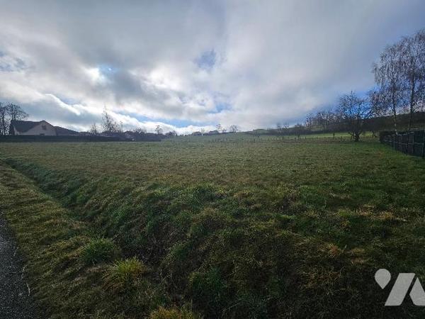 13935 A URIMENIL (88220) rue de la Fontaine Canton de la Fosse