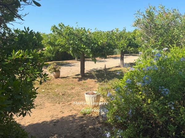 EXCLUSIVITE Très rare au centre des Issambres, magnifique terrain plat