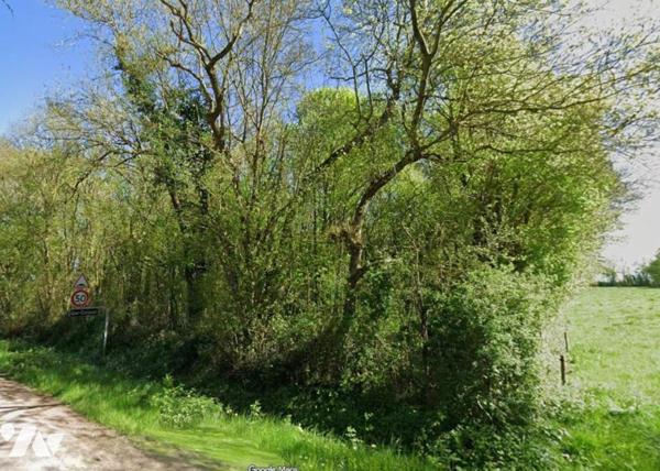 À vendre petit bois -  ANETZ -VAIR SUR LOIRE - 4900 m²