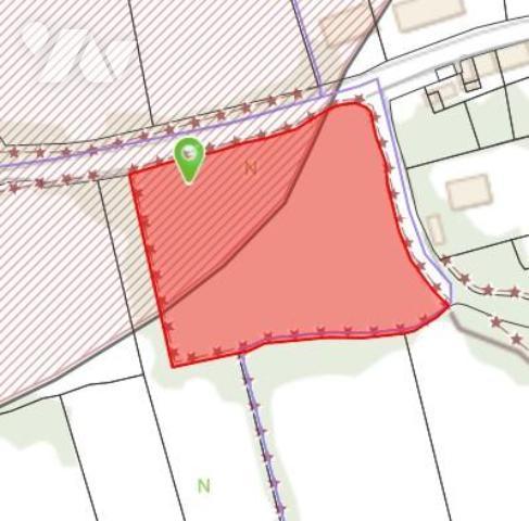 À vendre petit bois -  ANETZ -VAIR SUR LOIRE - 4900 m²