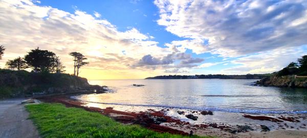 Appartement 1 pièce(s) 15.89 m2