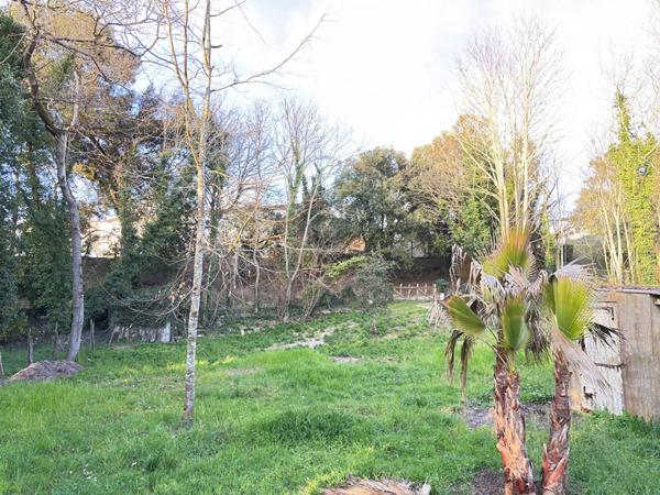 TERRAIN à MESCHERS SUR GIRONDE