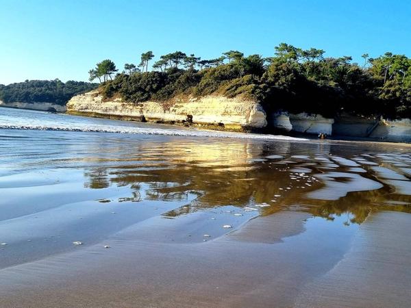 TERRAIN à MESCHERS SUR GIRONDE