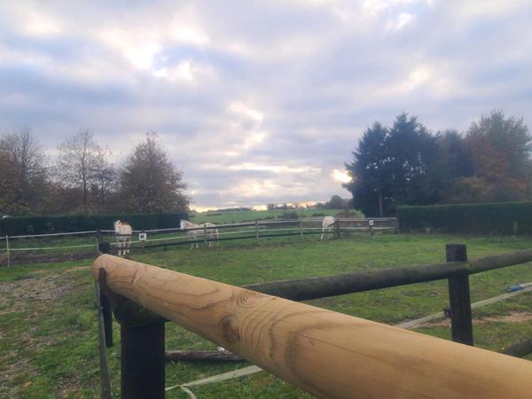 Propriété équestre