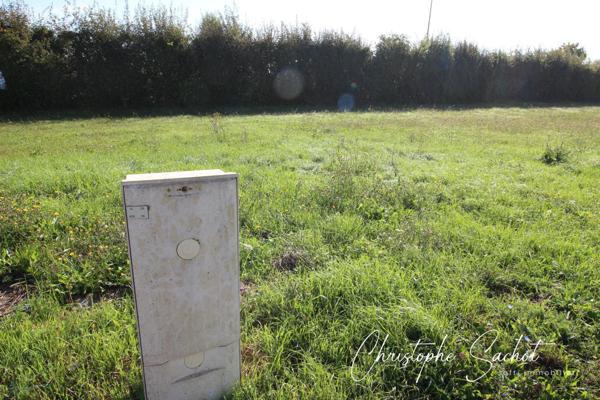 Parcelle à Bâtir sur Beauvoir Sur Niort !