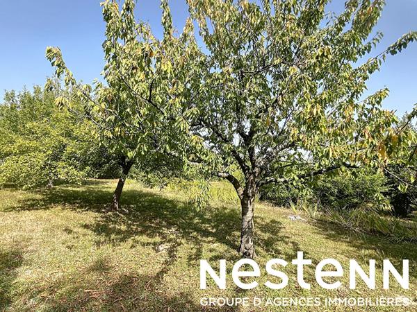 A vendre : Terrain constructible hors lotissement - Crêches-sur-Saône 71680