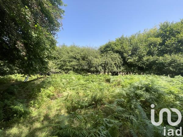 Maison à vendre 2 pièces 42 m² Merdrignac