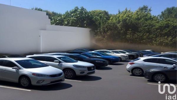 Boulangerie à vendre 75 m² Cabrières-d'Avignon