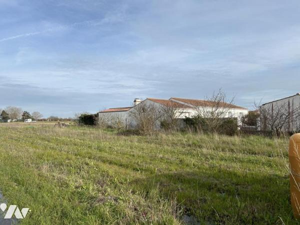 BARBATRE, COTE PLAINE