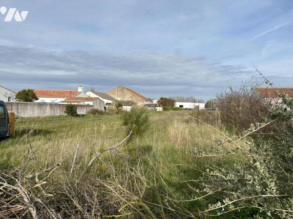 BARBATRE, COTE PLAINE