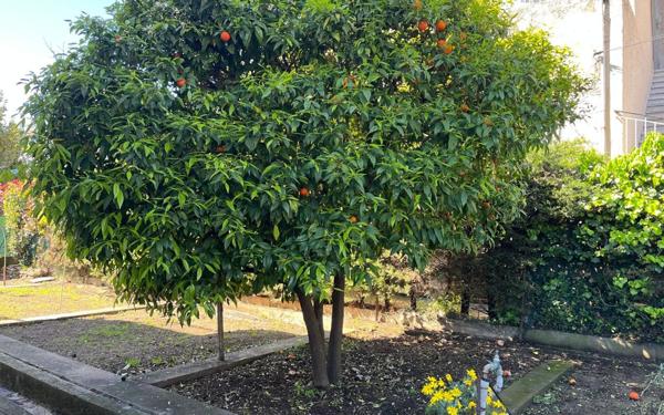 Appartement à vendre    4 pièces • 97 m2 Cagnes-sur-Mer