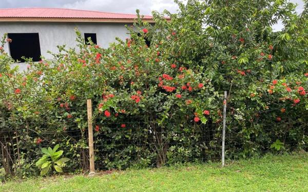 Maison à louer    4 pièces •  Ducos