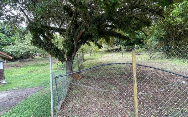 Maison à louer    4 pièces •  Ducos