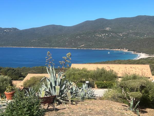 Superbe Duplex 2 pièces, vue mer/montagne à SERRA DI FERRO (20)