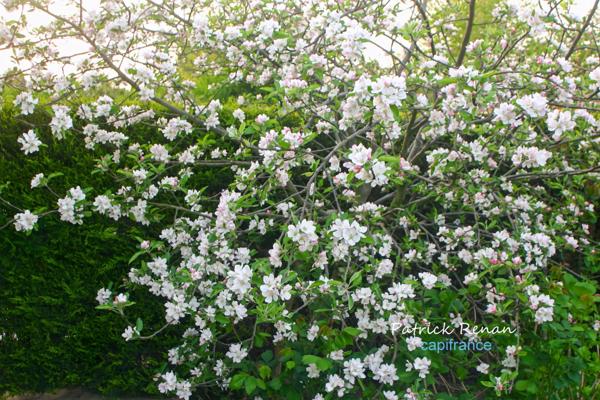 Maison à vendre 7 pièces, P7, TRAPPES (78)