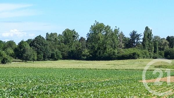 Terrain à vendre  517 m2 BOULLAY LES TROUX - 91