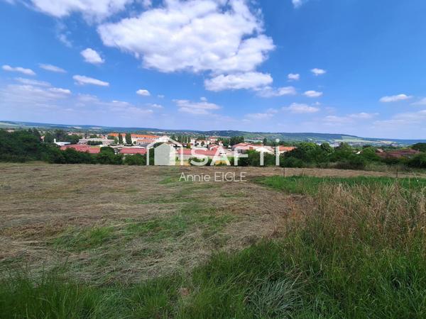 TERRAINS AUX LOGES THIERVILLE SUR MEUSE