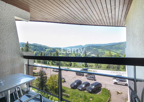 Appartement + cave + casier à skis