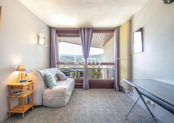 Appartement + cave + casier à skis