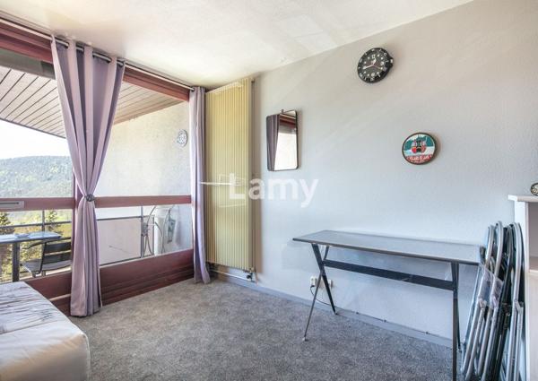 Appartement + cave + casier à skis