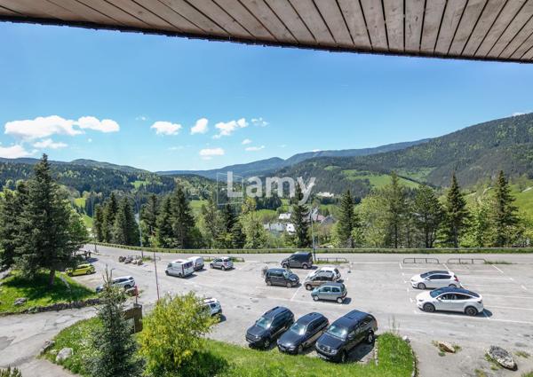 Appartement + cave + casier à skis