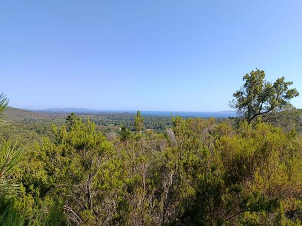 Vente                                                      Terrain
                        
                                         4820 m2                     à La Londe-les-Maures