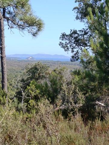 Vente                                                      Terrain
                        
                                         4820 m2                     à La Londe-les-Maures