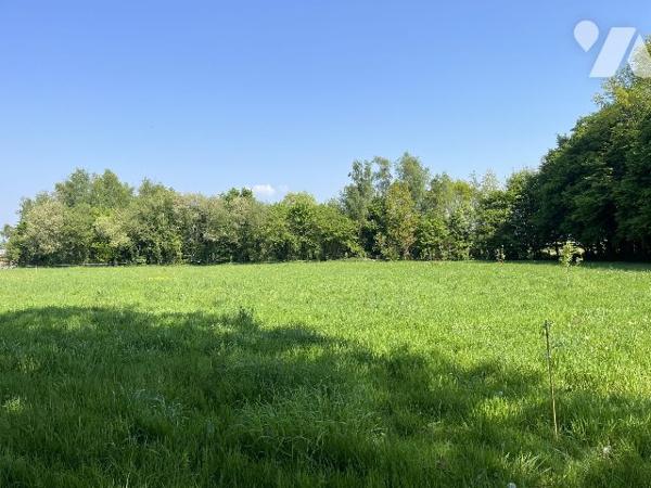 terrain constructible