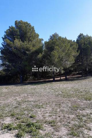 Terrain - 959 m² Exclusivité efficity