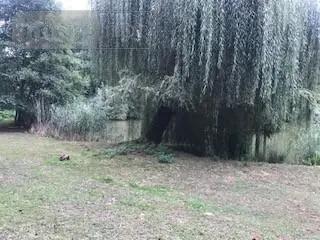 Achat - Terrain de loisirs, bois, étangs Laniscourt 02000 21164 m 2
