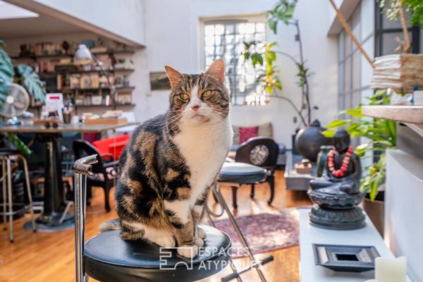 Loft avec verrière zénithale et rooftop