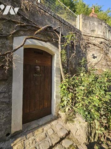 Maison Troglodytes