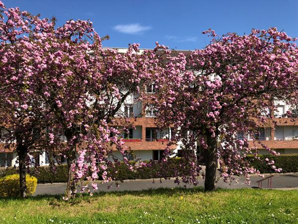 Appartement Longjumeau 3 pièce(s)