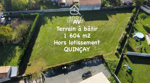 Terrain