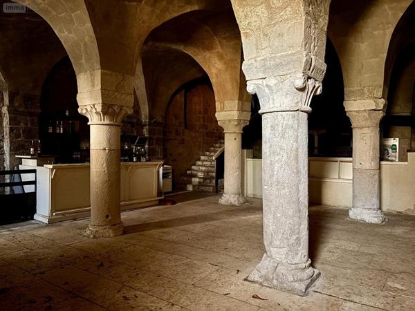 Local Professionnel et commercial à vendre à Poitiers dans la Vienne (86000), ref : VP074-86001