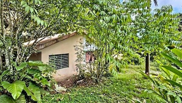 Maison à rénover avec piscine et dépendance