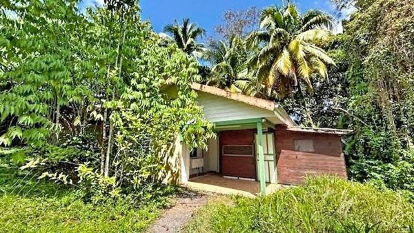 Maison à rénover avec piscine et dépendance