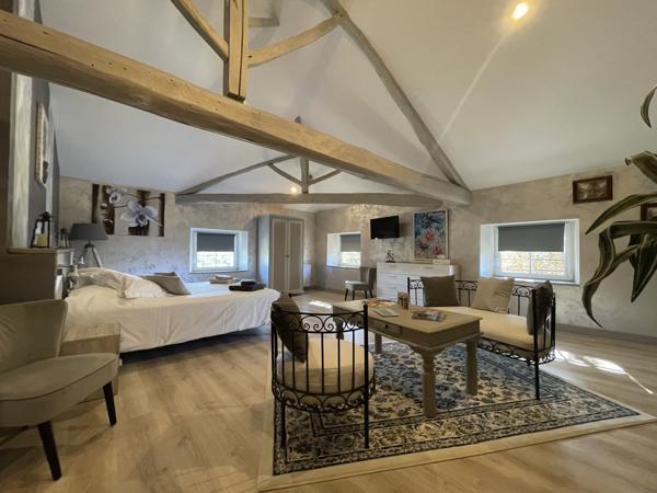 Maison 9 pièces - 450 m² Bien prestige